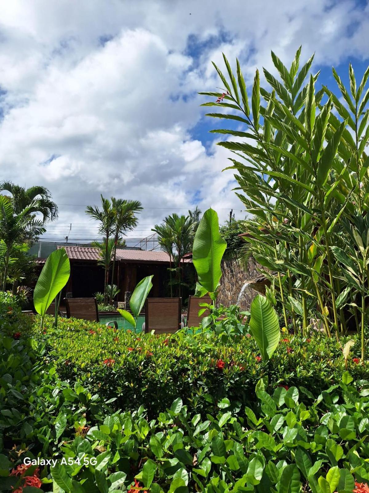 Hotel Iris Arenal La Fortuna Екстериор снимка
